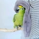 thumbnail image 4 of Bird Nest Parrot Blanket Warm Plush Fluffy Hammock Budgie Toy Winter Warm, 4 of 5