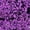 PURPLE, variant on Threadart Loose Cup Metallic Sequins - 4mm - Purple - 5 Gross (720 pcs/pk) - 2 Sizes and 12 Colors Available