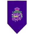 thumbnail image 3 of Pet and Dog Bandana Screen Printed, "Laissez Les Bons Temps Rouler", 3 of 9
