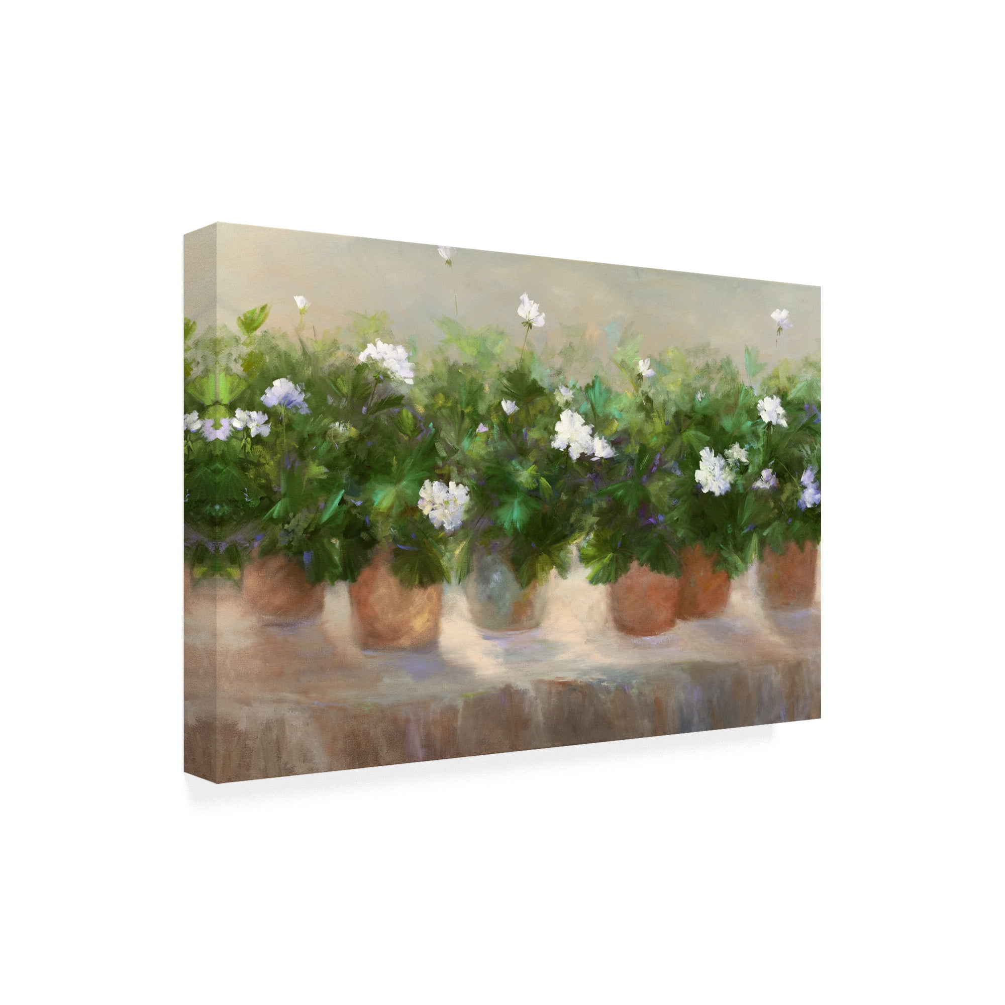 Trademark Fine Art 'White Geraniums' Canvas Art by Sheila Finch