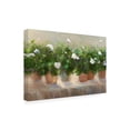 thumbnail image 2 of Trademark Fine Art 'White Geraniums' Canvas Art by Sheila Finch, 2 of 4