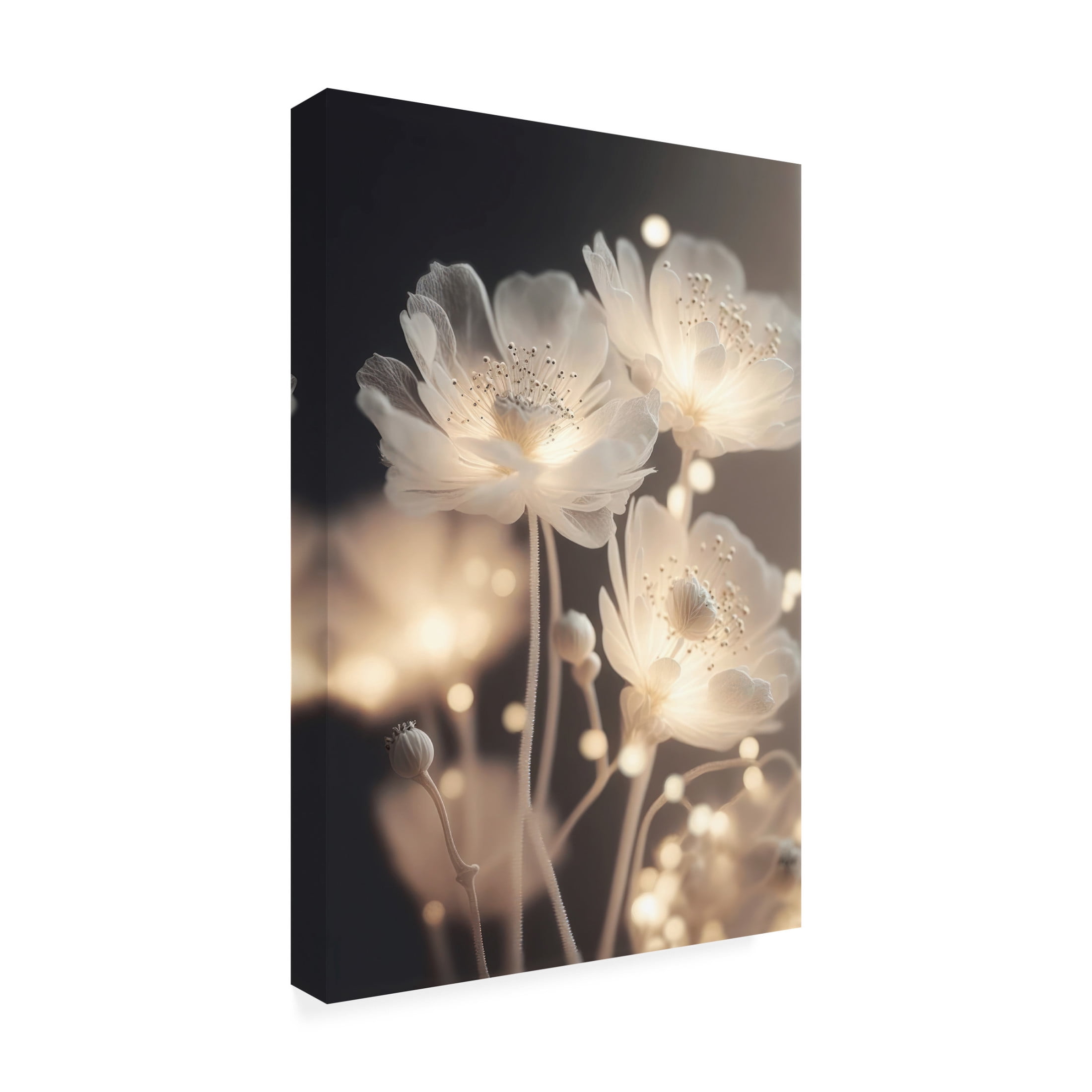 Canvas Wall Art - Treechild 'White Glowing Flowers' Wall Art for Living Room, Bedroom, or Office D?cor by Trademark Fine Art - 16 x 24 Inches