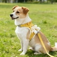 thumbnail image 4 of Dog Harness and Leash Set for Small Medium Dogs, Step in No Pull Soft Mesh Dog Harness Comfort Padded Pet Vest, Adjustable Reflective Easy Walking Puppy Cats Harness Training(Yellow,M), 4 of 4