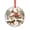 style, variant on Merry Ratsmas Christmast Xmas Ornament Rat Santa Hat Christmas Glass Decoration Xmas Tree Decor for Kids Mom Dad Friends Loves