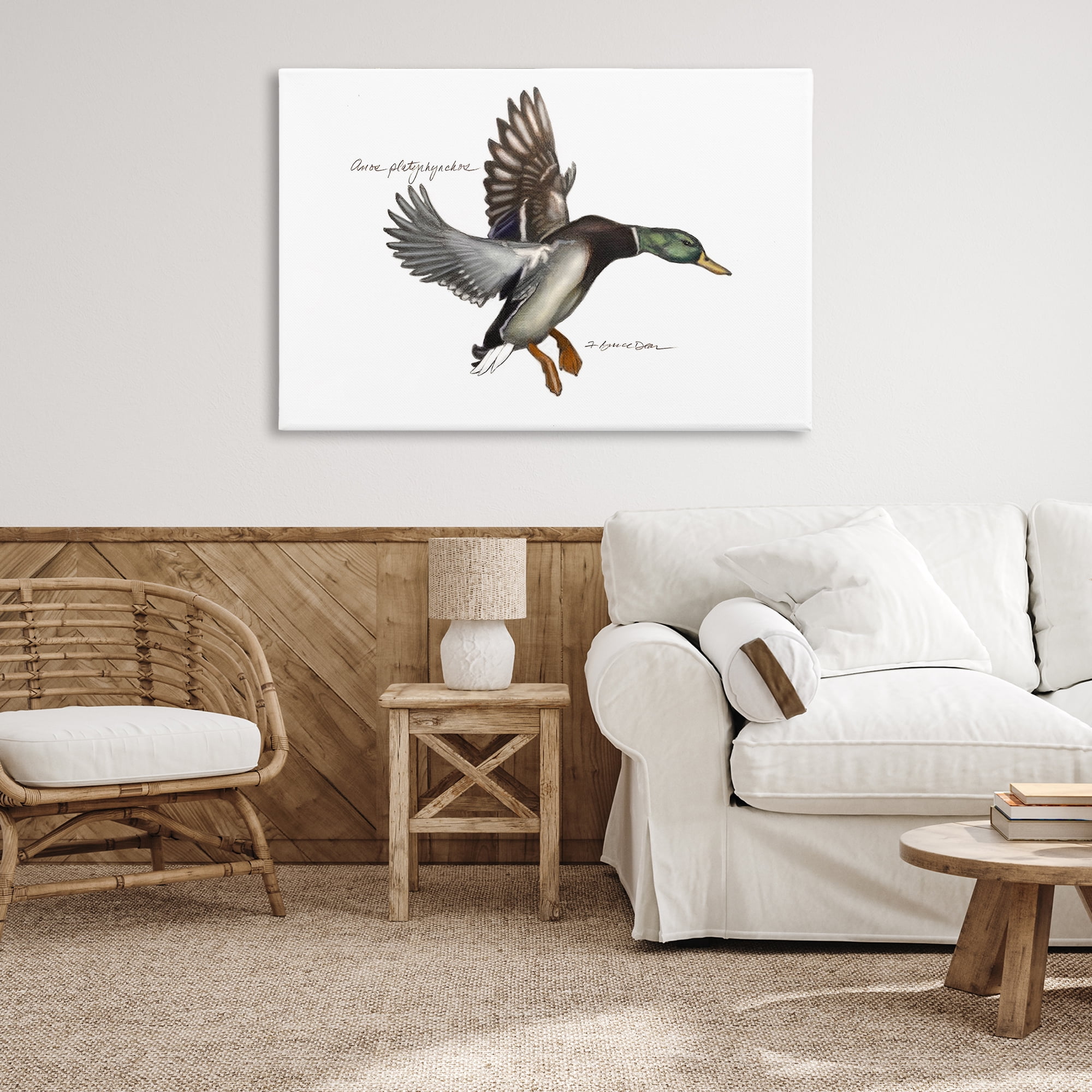 Stupell Industries Flying Mallard Duck Animals & Insects Painting Gallery Wrapped Canvas Art Print Wall Art, 45 x 30