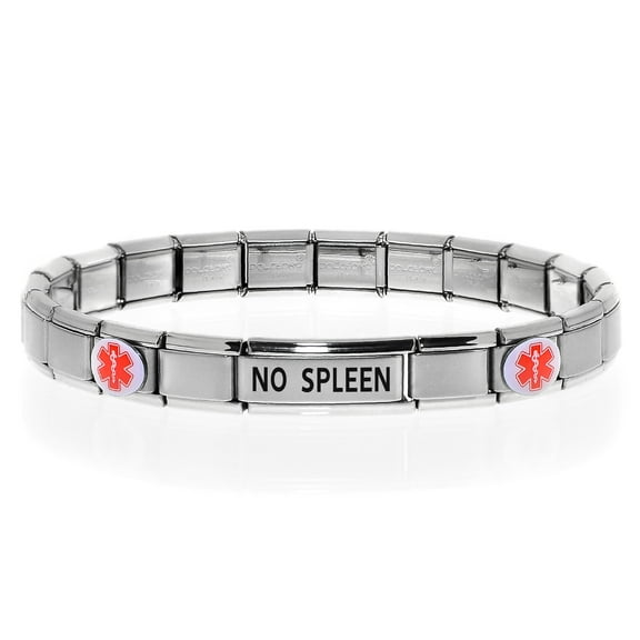 NO SPLEEN Medical Alert ID Bracelet, Modular Charm Style - SIZE OPTION E