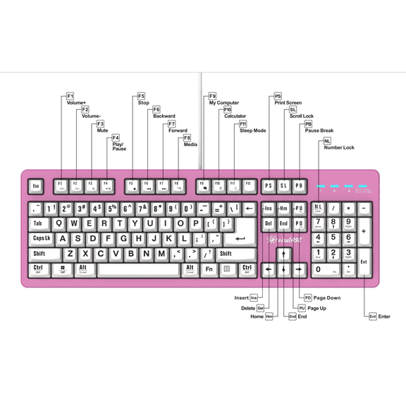 vitalASC Spill-resistant Full Size USB Standard Keyboard, Pink