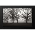thumbnail image 2 of Cook, Jamie 24x16 Black Modern Framed Museum Art Print Titled - Fog Tree Study IV, 2 of 5