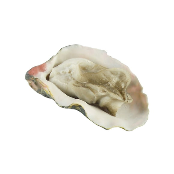 Fake Food Realistic Artificial Shellfish Model Fake Seafood Model Food Sample Display Photo Props Fake Food for Display