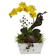 thumbnail image 5 of Orchid  Succulent Garden with White Wash Planter, 5 of 5