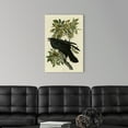 thumbnail image 3 of Great Big Canvas "Raven"  by John James Audubon Black Dark Forest Green   Wrapped Canvas Print Wall Artwork, 3 of 7