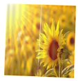 thumbnail image 1 of Cortina de Ventana de Impresión 3D de 2 Paneles Puede para Decoración Girasol Gloria Cortina de poliéster, 1 of 8