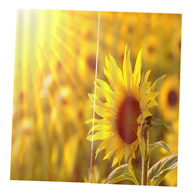 Cortina de Ventana de Impresión 3D de 2 Paneles Puede para Decoración Girasol Gloria Cortina de poliéster