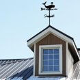 thumbnail image 4 of Weathervane Whale Ornament Wind Vane Weathercock Sperm Whale Wrought Metal Weather Vane for Garden Decor Farmhouse Decorative Outdoor Garden Wind Measuring Tool Weather Vane for Roof, 4 of 9