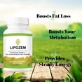 thumbnail image 4 of Suplemento NUSQO Lipozem Capsules de fórmula natural 100% vegano, 4 of 7
