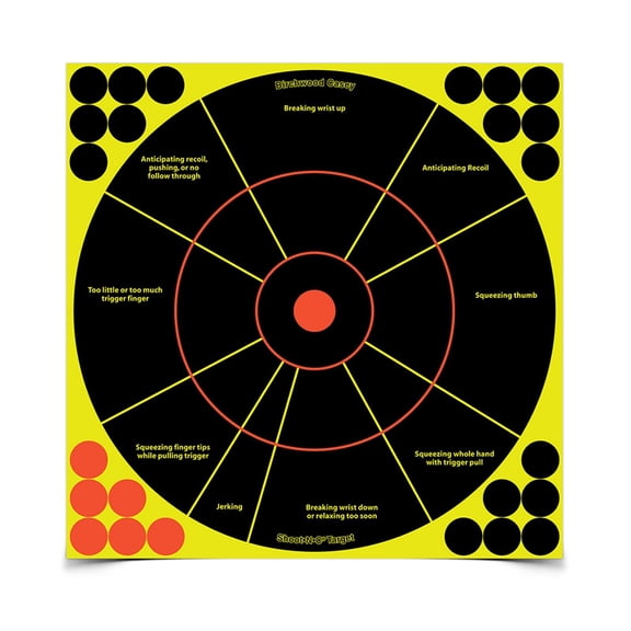 Shoot-N-C Handgun Trainer Target