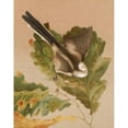 thumbnail image 3 of Léo-Paul Robert 20x24 Black Modern Framed Museum Art Print Titled - Long Tail Chickadee (1880), 3 of 5