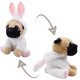 thumbnail image 1 of Casagood Perro Pug de Peluche con Disfraz de Conejo Blanco, Adorables Peluches, Pug con Traje de Conejo, Juguetes de Peluche como Gran Regalo para niños, Cachorros de Peluche, 12 Pulgadas, 1 of 1