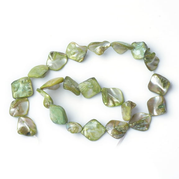 1 Strand Natural Sea Shell Beads Irregular Dyed 14~23x18~20mm Hole: 1mm 22pcs/strand 16 inch/strand