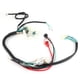 thumbnail image 4 of Arnés de cableado para arranque de motor de 50 cc, 110 cc y 125 cc para cuatrimotos PIT Dirt Bike ATV, 4 of 14