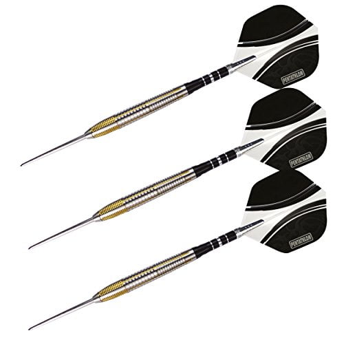 dart world