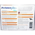 thumbnail image 2 of PetArmor Plus Flea/Tick Control Drop, 2 of 2