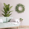 thumbnail image 3 of Puleo International 30 in. Artificial Eucalyptus Spring Wreath with Creeping Jenny Leaves, 3 of 5