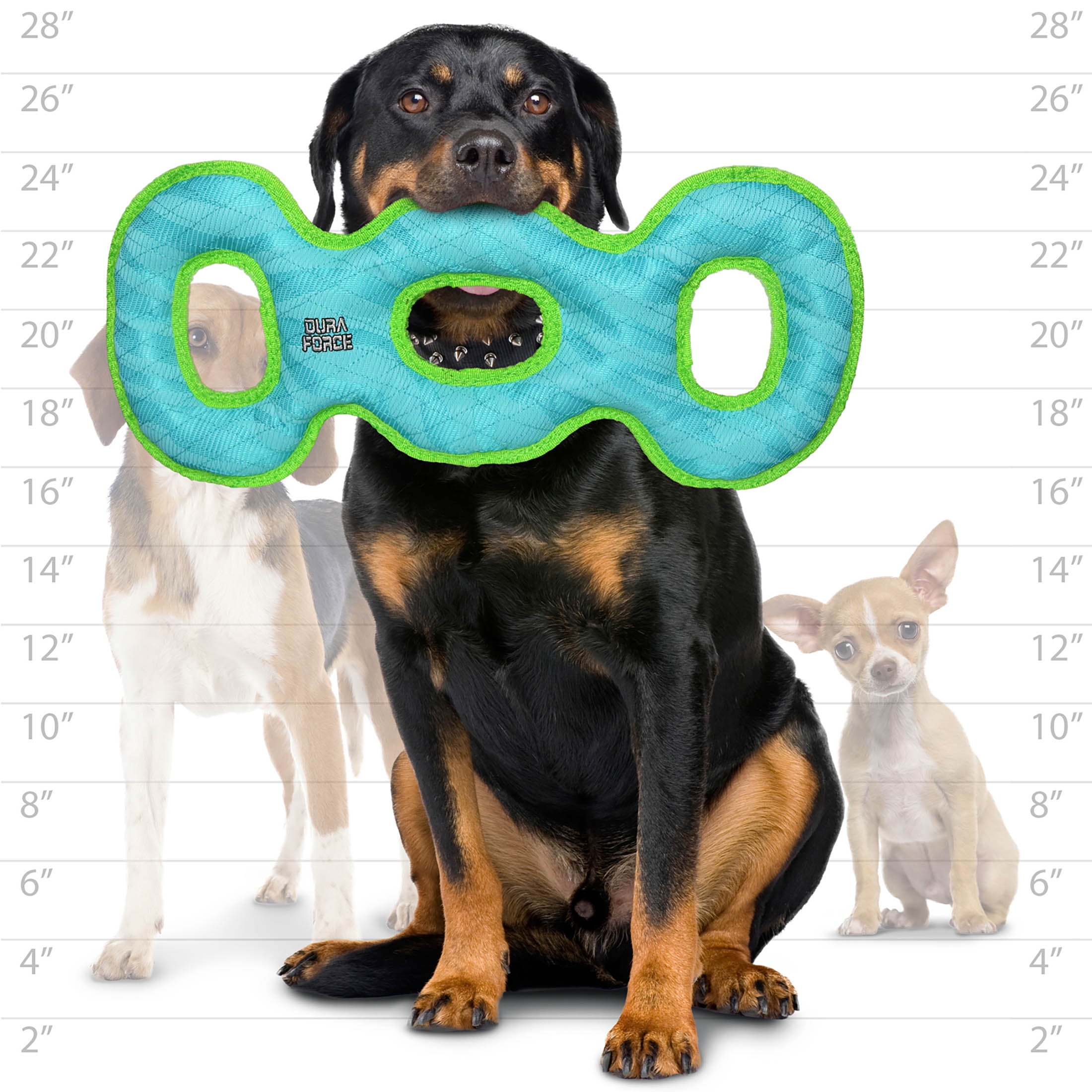 DuraForce 3 Way Tug O War Durable Woven Fiber Squeaky Dog Toy