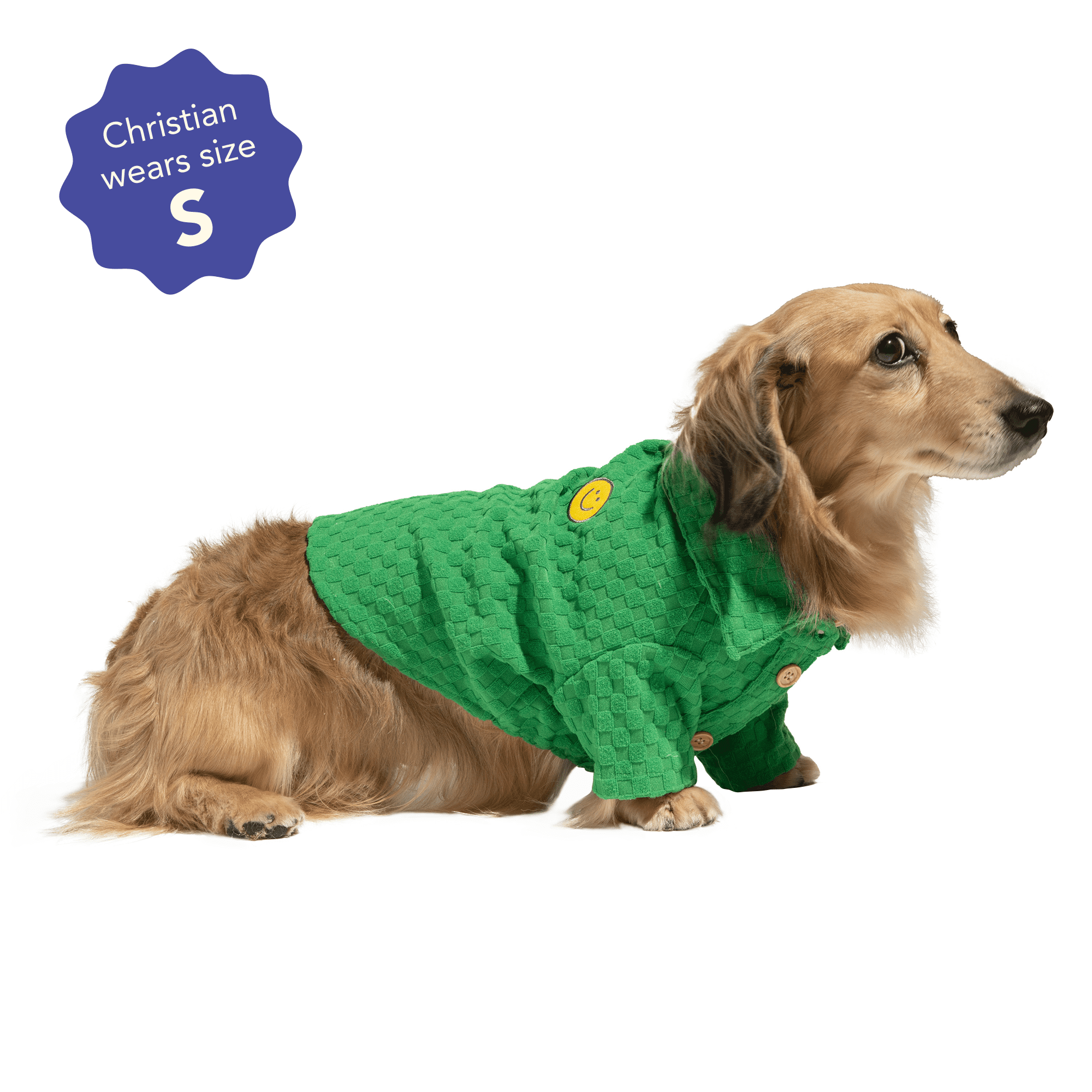 Oodles Green Boxy Button-Up Checkered Spring Dog T-Shirt, XS