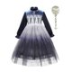 thumbnail image 1 of Vestido de princesa Elsa de Disney para niñas, vestido de baile de malla de noche estrellada, ropa de fiesta de Carnaval para niños, disfraz de reina de la nieve Frozen9-10T (etiqueta 150) Gao Jinjia LED, 1 of 2
