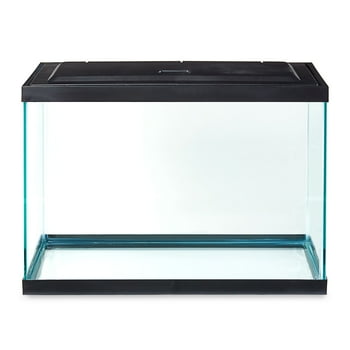 20 gallon starter kit sales