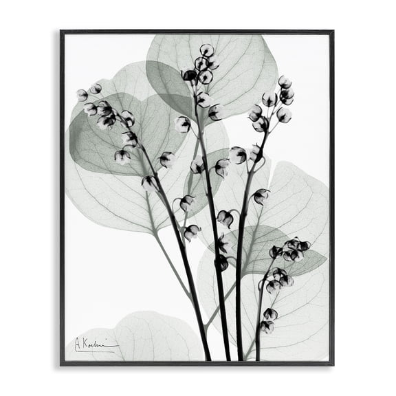 Stupell Industries Contemporary Fresh Minimalist Herbs Black Framed Giclee Art, 11 x 14, by Albert Koetsier