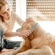 thumbnail image 5 of Peine para perros Greyhound, peine metálico para perros Peines para perros con extremos redondeados Peine para perros Peine para gatos Para eliminar nudos Herramienta de aseo para perros, 5 of 5