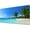 Plage Palmier Tropical, variante sur Tapis de Souris Orange pour Ordinateur, Tapis en Caoutchouc pour Gaming, Bureau, Ordinateur Portable, PC, Choix des Femmes, Design Vibrant pour une Installation de Bureau Moderne, Base Antidérapante (11.8"x31.3 Pouces)