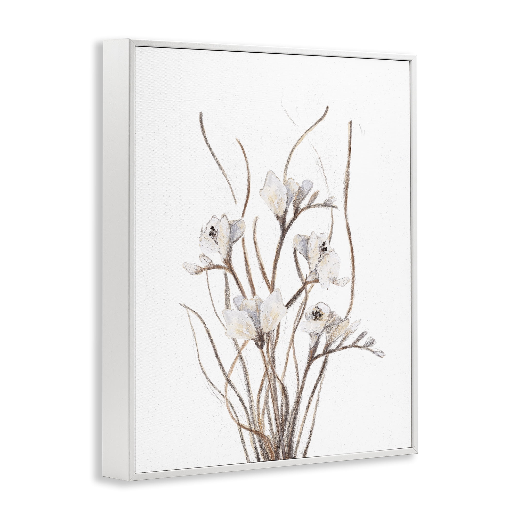 Stupell Industries Curly Branches on White White Framed Giclee Art, design by Lanie Loreth