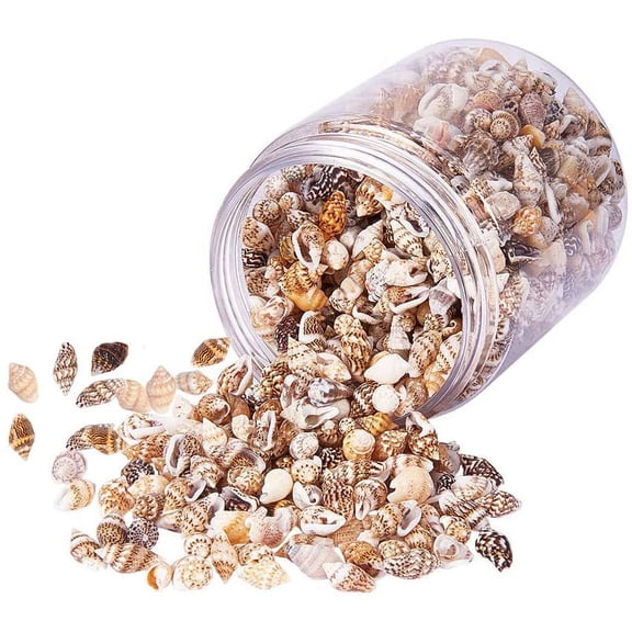 About 1500pcs Mixed Ocean Sea Shells Natural Seashells Spiral Shell Beads for Fish Home Decor Beach Theme Party Candle Making Wedding Decor DIY Crafts