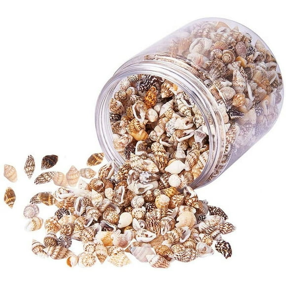1500 Pcs Coquillages Mélangés Océan Mer Coquillages Naturels Perles Coquille en Spirale pour Poisson Déco Maison Thème Plage Fabrication de Bougies Déco Mariage Bricolage Artisanat