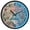 Peacock in Gardens, variant on Dailycode Night Light Wall Clock Glow in The Dark 12 inch Battery Operated Silent Luminous Clocks, Lizard and Leaf