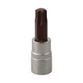 thumbnail image 3 of MYG 1Pc Hex Torx Screwdriver Bit 1/4 Inch Drive Socket Hand Tools T8-T40, 3 of 9