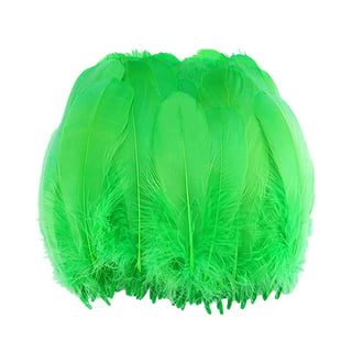 2-4 Inch Green Pheasant Feathers 10 Green Feathers. Green Peacock Feathers  for Fascinators. Green Mask Feathers for Crafts. Short Feathers -   Israel