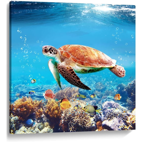 VELVET Bathroom Turtle Picture Wall Art, Ocean Undersea Aquatic Animal Nature Photo Print on Canvas for Blue Kids Room Decor 24x16inch Framed