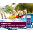 thumbnail image 2 of Rx Clear Filter Renu Swimming Pool Filter Granulated Compound Cleaning Agent, 2.5 lbs, 2 of 5