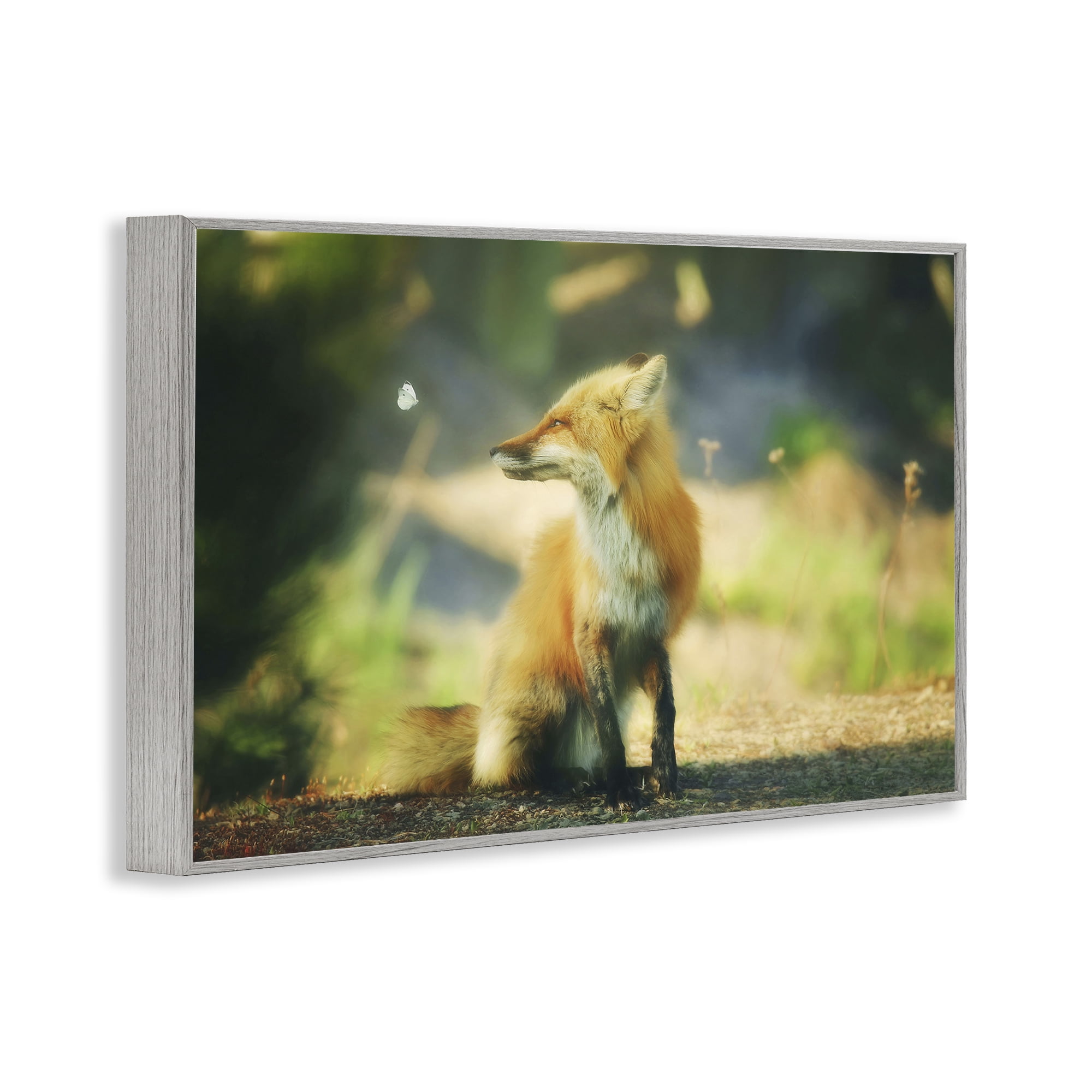 Stupell Industries Fox Kit & Butterfly Animals & Insects Photography Gray Framed Art Print Wall Art, 24 x 16