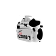 thumbnail image 1 of Camara de video Irfora Cámaras de impresión instantánea WiFi Cámara para niños Pantalla de 2.4 pulgadas Grabación de video 1080P Lente de rotación de 180 ° sin tinta con papel de impresión Irfora Camara de video, 1 of 7