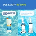 thumbnail image 5 of FROG BAM 90-Day Algae Preventive, Algaecide, Pool Winterizer, Prevents Algae for 90 Days Guaranteed, Compatible with All Pool FROG Products, 5 of 6