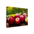 thumbnail image 2 of Trademark Fine Art 'The Harvest I' Canvas Art by Rachel Perry, 2 of 3