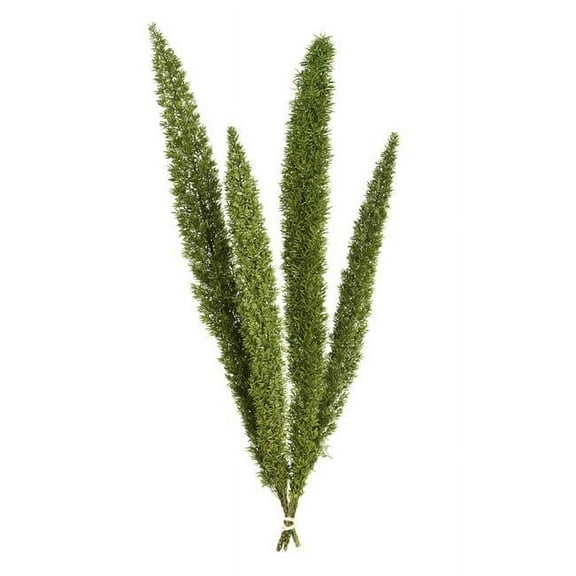 8-10 in. Green Foxtail Fern Stems