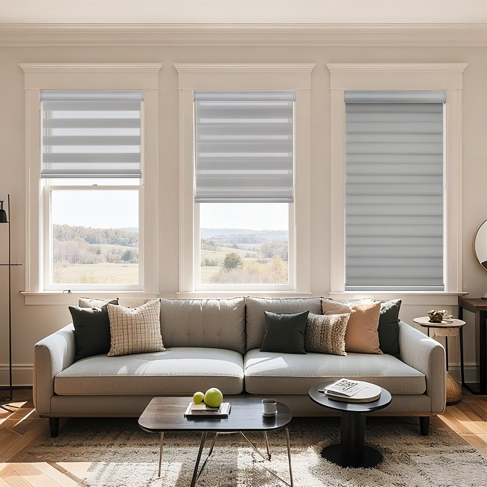 MYshade Cordless Zebra Blinds Gray-27"W*64"H Pull Down Roller Window Shades Double Layer Light Control Free Stop Window Shades Day and Night Blinds Easy Installation for Home