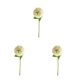 thumbnail image 2 of Bearachild Flor de simulación redonda 10 piezas para decoración de fiesta o ramo de boda Verde claro, 2 of 6