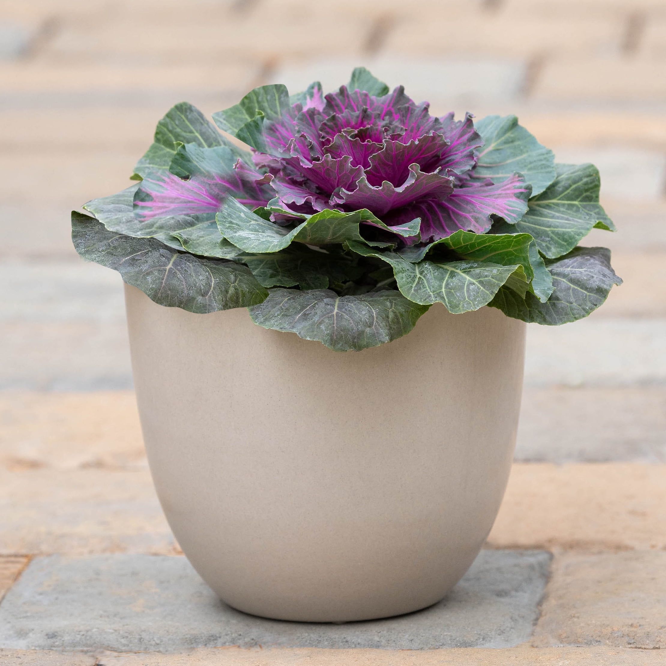 Root & Vessel Bola Round Planter, Bone, 13"